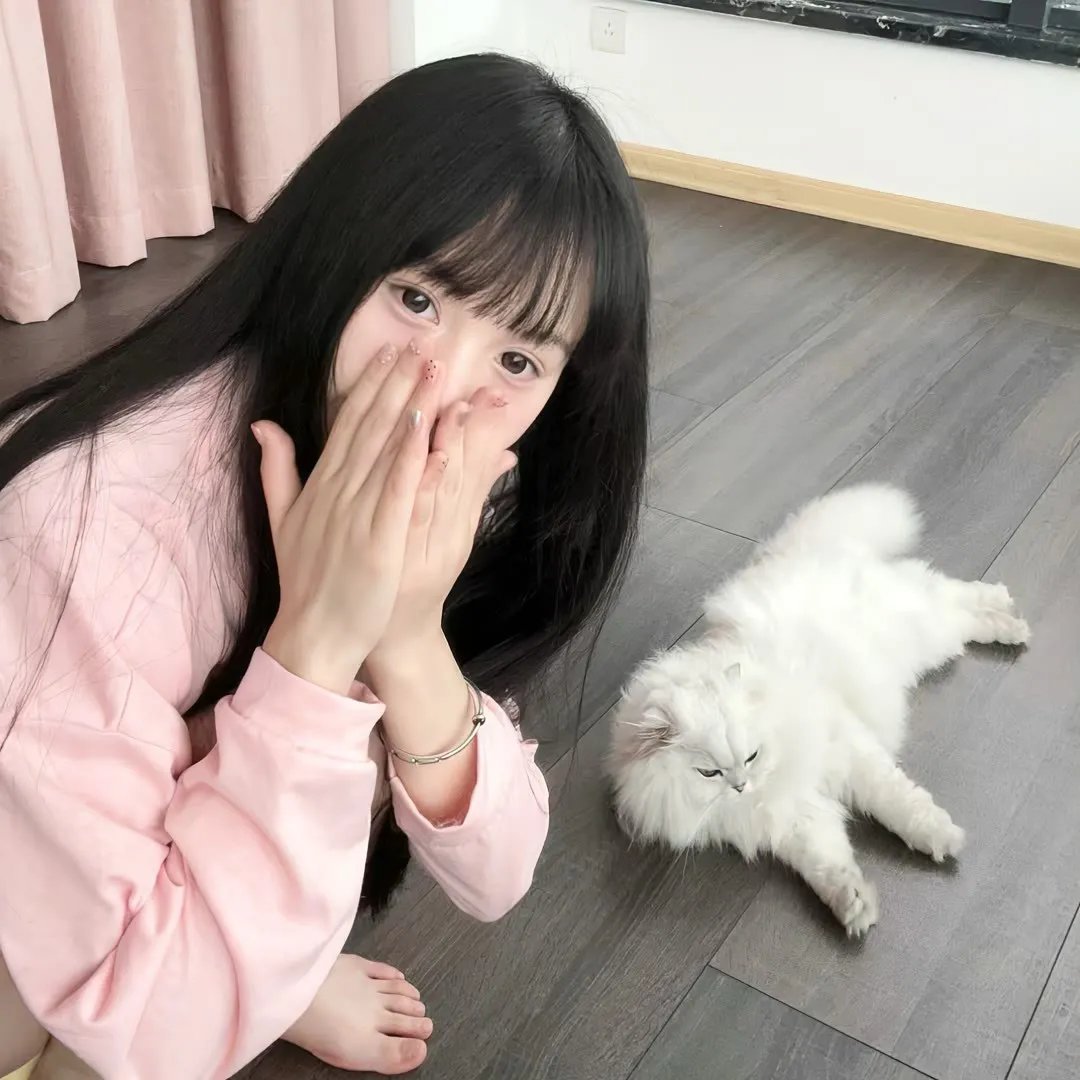 托托的色彩美学观
